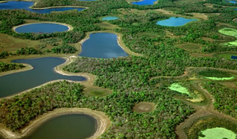 vue aérienne du pantanal brésilien avec lacs et forêt tropicale