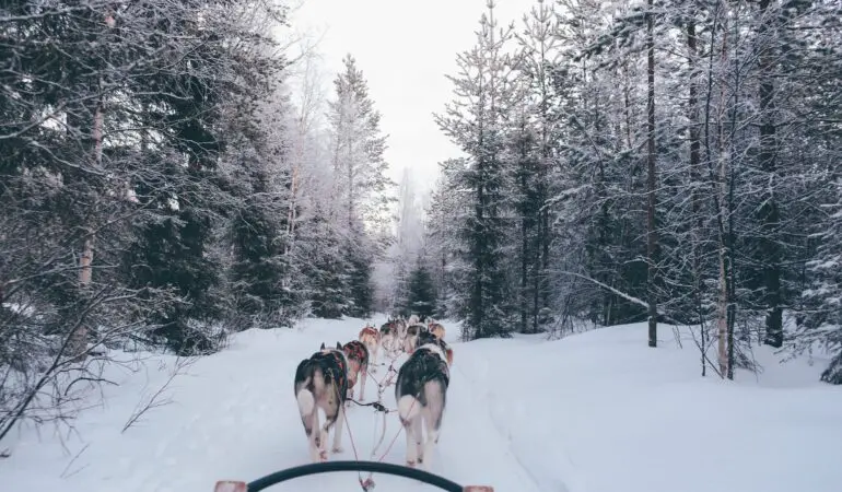 Les choses à faire à Rovaniemi