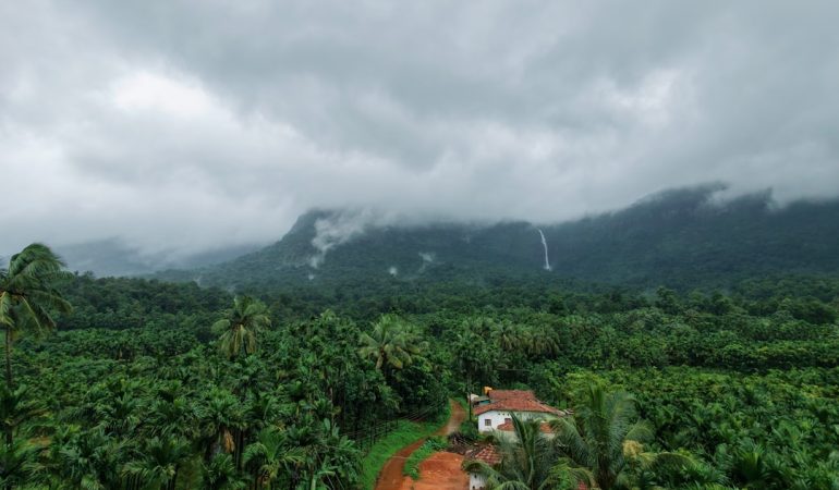 Lush green forest, house, and misty mountains under cloudy sky.