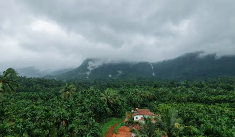 Lush green forest, house, and misty mountains under cloudy sky.