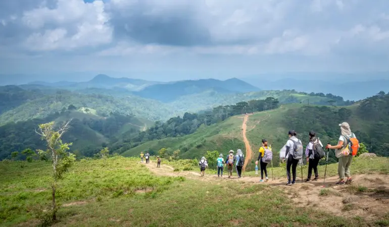 Back view of unrecognizable people with backpacks walking on path located on slope of grassy hill against backdrop of amazing alpine view on overcast weather